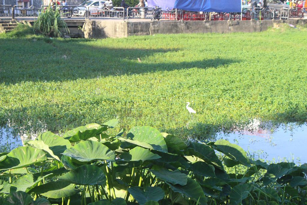 Hoi An Green View Homestay & Villa מראה חיצוני תמונה