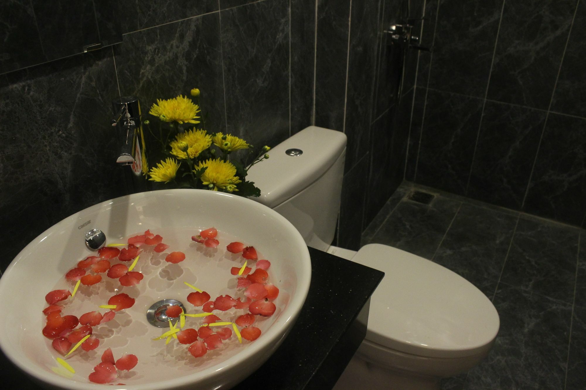 Hoi An Green View Homestay & Villa מראה חיצוני תמונה