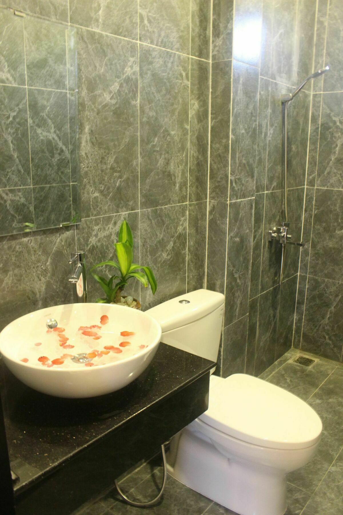 Hoi An Green View Homestay & Villa מראה חיצוני תמונה