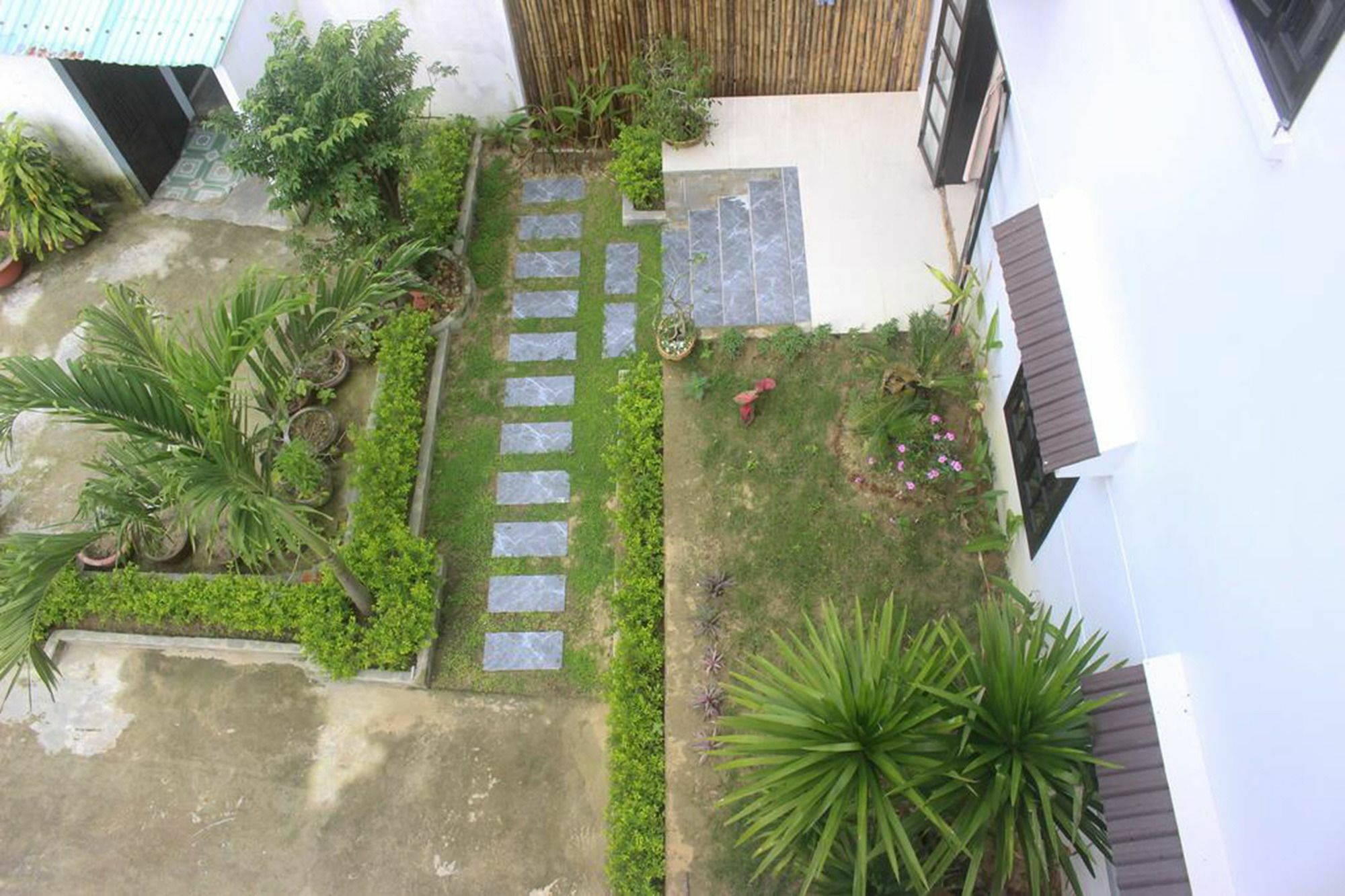 Hoi An Green View Homestay & Villa מראה חיצוני תמונה
