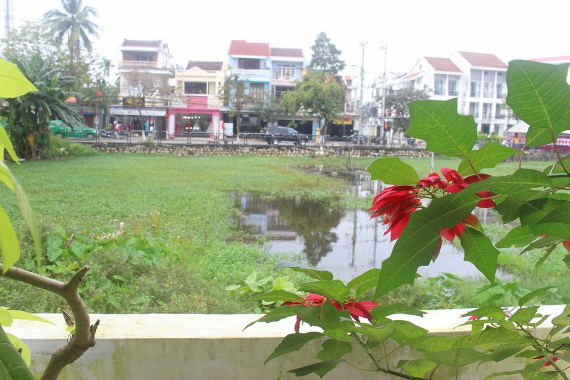 Hoi An Green View Homestay & Villa מראה חיצוני תמונה